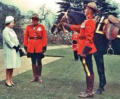 mcnaughtanrules's tweet image. So here’s another Canadian themed post. Did you know the Queen’s horse ‘Burmese’ was gifted to her by the RCMP? Why not mark the relationship between Britain and Canada by hiring me, Canadian Bob for a day or night out or a trip away. #07711542555privatehirecar