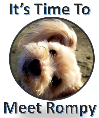 AnimalMusings's tweet photo. MAXIMUM MONDAY returns to #AnimalMusings with a humdinger (technical term) of a magical missive.  "It's Time To Meet Rompy" is found at: 
https://t.co/xpcfxz5hGI

Do not delay, read it today.

@KeilHackley @DRMaymon  @Summer1391 
@GregariousGus @GracieRoadster @cat01cat01cat01 https://t.co/kS5UIxocmF