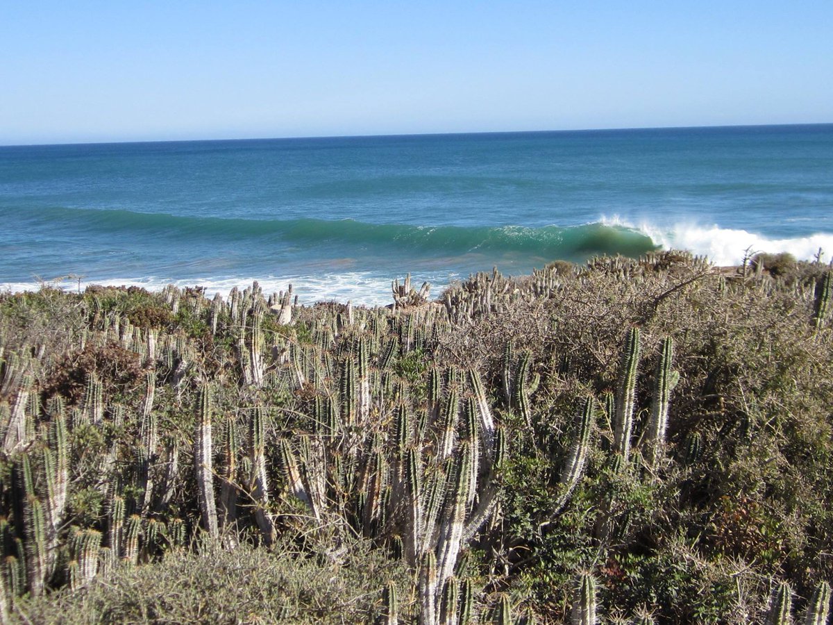 ShakaSurfMoroc's tweet photo. 🎼 ..hey babe, take a walk on the wild side 🎼
-
#bestofthebest #swell #coastline #oceanpotion #coloursofmorocco #surfsafari #surftrips #surfingmaroc
>>https://t.co/PnsC2kXXPZ<< https://t.co/w4g5MSjUCo