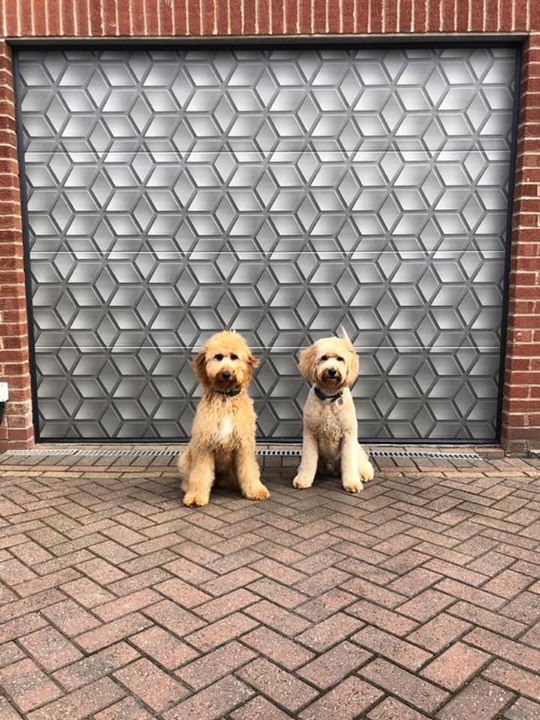 yourdoor's tweet photo. Be bold, be daring, and stand out from the crowd! It really is YOURDOOR your design. This one was expertly installed by Avail Solutions Limited and certainly got the woof of approval 🐾

#YOURDOOR #standout #bebold #architecturedesign https://t.co/8LulnniNHC