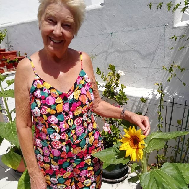 Chefsmarbella's tweet photo. New today - Pam's #sunflower #girasoles🌻 from a seed she took from the breakfast cereal

📸 https://t.co/IKrWYSyXxp via https://t.co/5OFlQj7JdF https://t.co/8pByMkZF1t