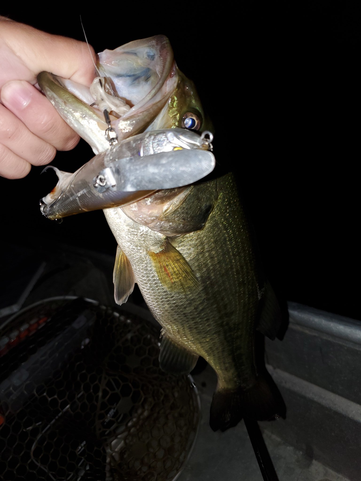 夜のバス釣り Twitter Search Twitter