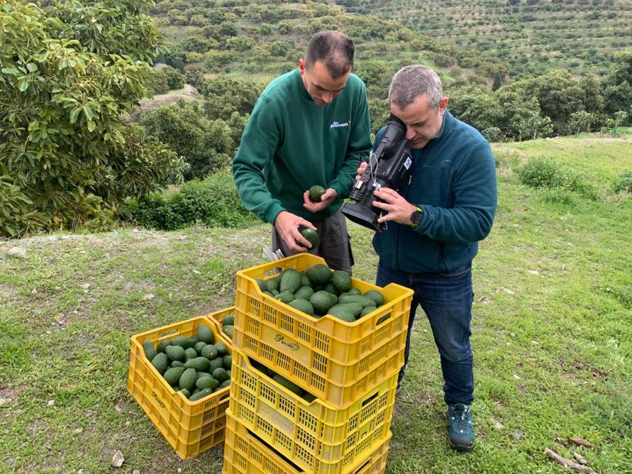 Grupo Operativo Aguacavalue tweet media