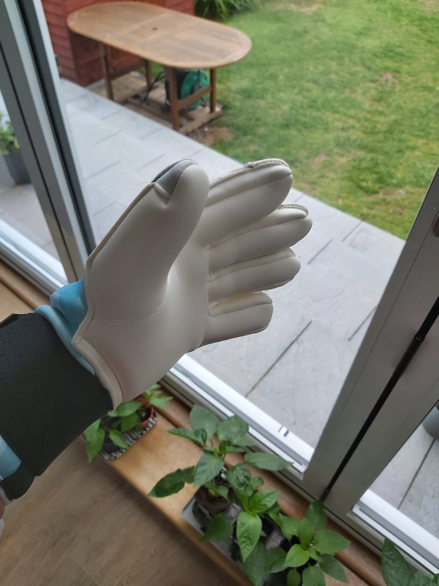 oldburymeerkat's tweet photo. @MDPRO_Gloves Really impressed with the gloves and delivery was super quick, many thanks Matt

#gkunion #letsgetcoaching https://t.co/EZb16y2Hxy
