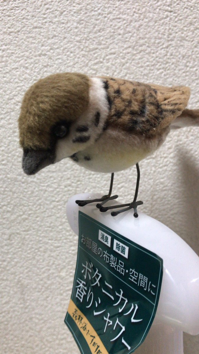 cosplaystaff312's tweet photo. #うめだらけ本日のコスプレスタッフ

本日のスタッフは、サバトさんとソラでした！！
すみません、ツイート忘れてました😭
ちゅんたろうもいるよ！^_^ https://t.co/fk056AadZp