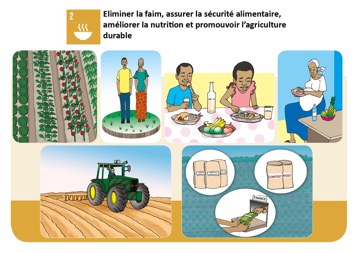 Steve HODA (@stevehoda) on Twitter photo 