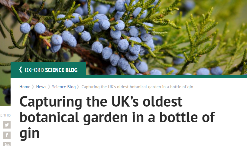 OxfordSparks's tweet photo. The latest @UniofOxford ScienceBlog is based on our latest #podcast episode!! 😊
"Capturing the UK’s oldest botanical garden in a bottle of gin" 🌱🍸
Check it out here 👉 https://t.co/HvrQ7c0WD1 @OBGHA @thespiritoftoad #gin #physicgin #botanicals https://t.co/esygNMHS1f