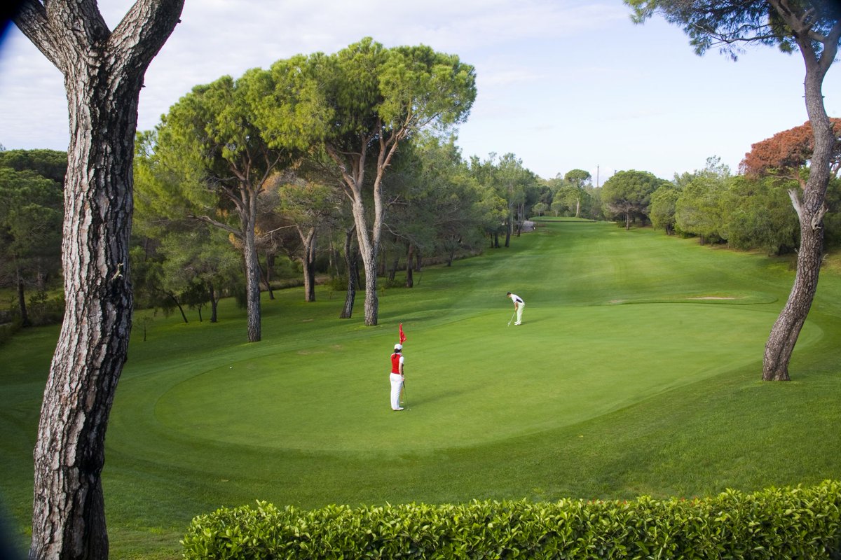 NGClubTR's tweet photo. Tag your golf buddy to play with here. https://t.co/yrqLQ3V0nf