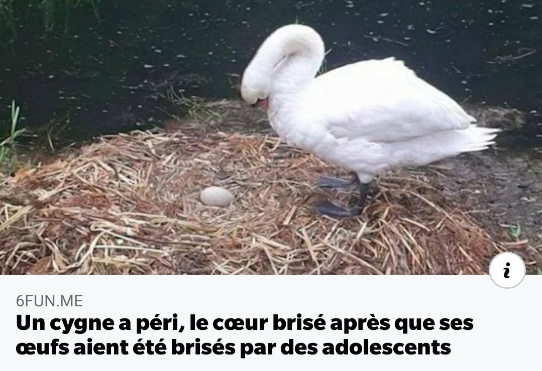 J'ai le coeur en miettes.