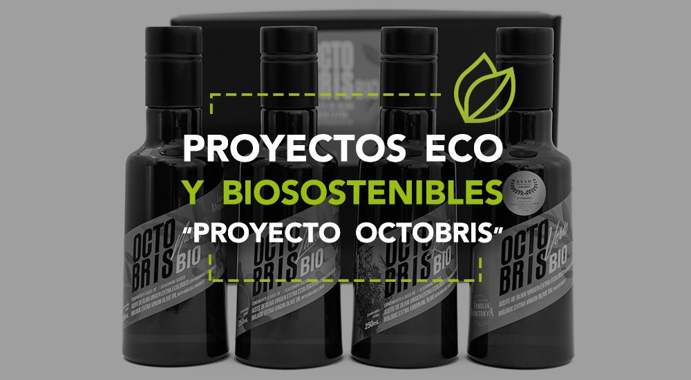 QualityMkConten's tweet photo. En #QMKC somos conscientes de que la #sostenibilidad y la #digitalización son claves hoy en día. 
¡Os contamos cómo hemos trabajado en el lanzamiento de OCTOBRIS, AOVE Bio!  

💻https://t.co/h8IZtaMpoJ

#Marketing #MarketingDigital #GreenMarketing #SBQMedia #AgenciadeMarketing https://t.co/pd7eDj80Mb