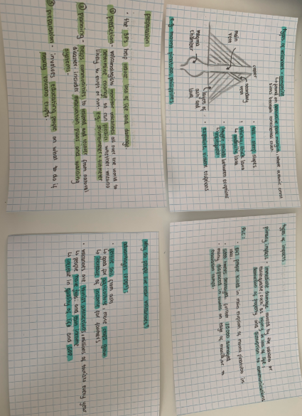 GeogHurlingham's tweet photo. Year 8 continue to do some great revision ahead of their assessment next week, about tectonic hazards. Well done to Alexia, Giulia, Jasmine and Sonia, for these fantastic examples!
@TheHurlinghamAc #HomeLearning #studentwork #year8 #tectonics #Revision https://t.co/GfTgIiIcAV