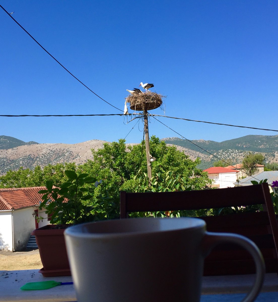 #greecefromhome #Epirus
truestorythenifi.blogspot.com/2020/06/closed…