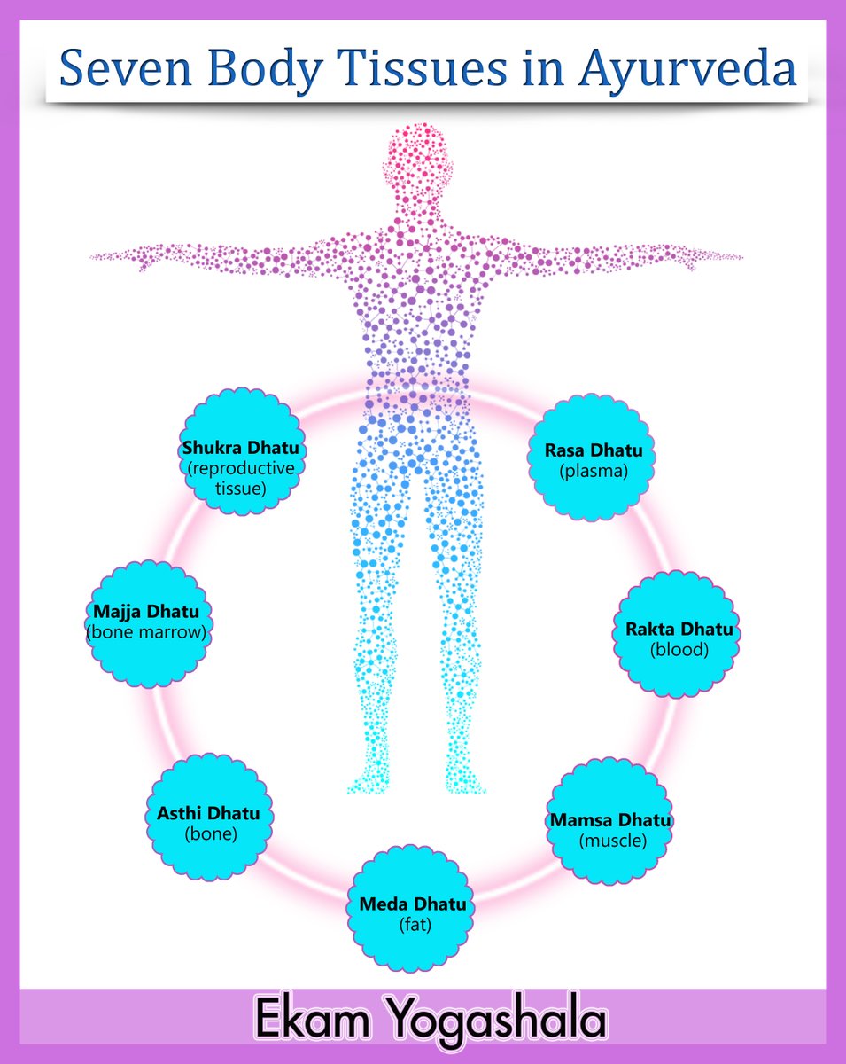 EkamYogashala's tweet photo. The seven #Dhatus are the building blocks of #human  body.  Ayurveda identifies seven vital tissues of the body that provide #Nourishment , #Growth , and structure to the entire body. The 7 tissues of the #body are:
@EkamYogashala 

#yoga #Ayurveda #bodypositive #life #YogaAtHome https://t.co/xrg1qhB4Br