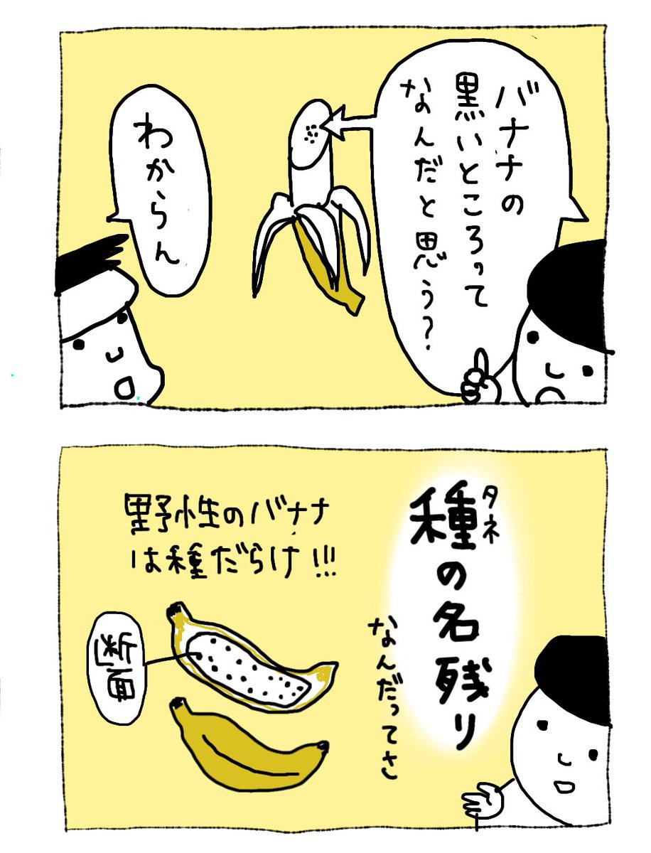 Day53
進化となごり

#バナナの秘密
#漫画が読めるハッシュタグ 