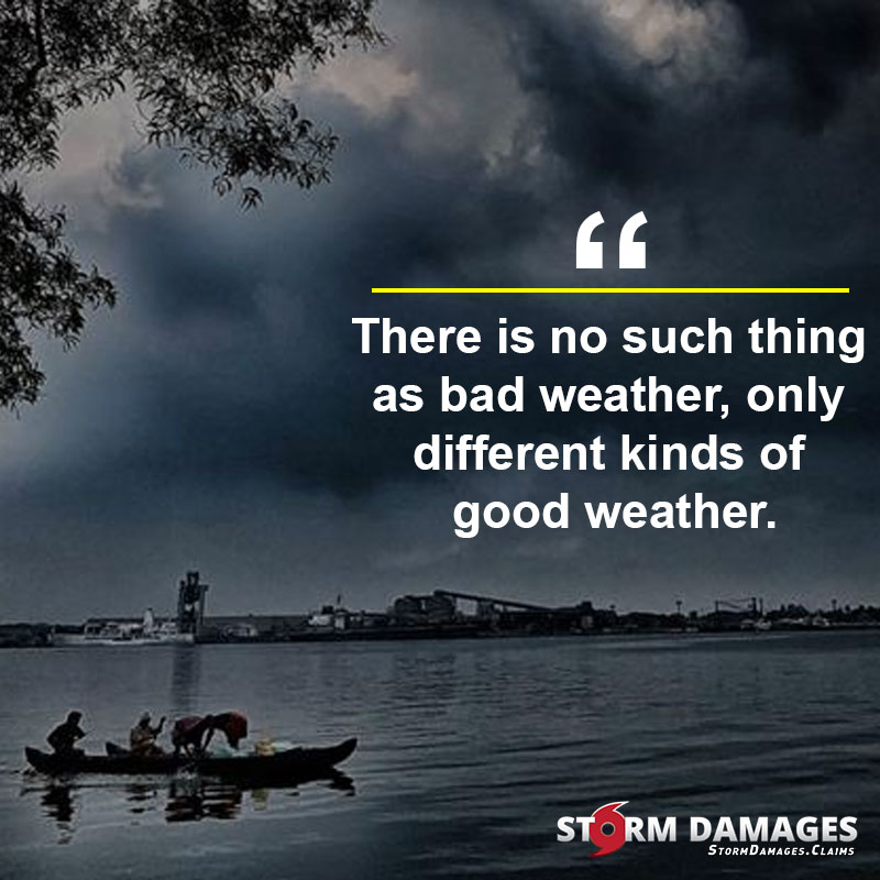 Protogrid 📱💻 tweet media