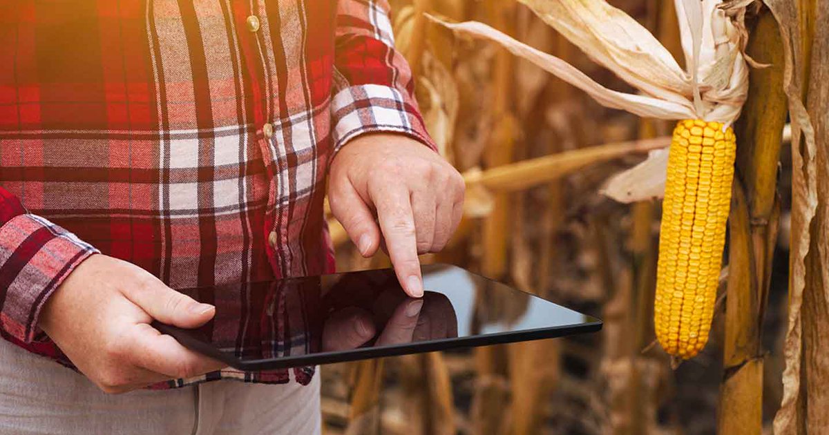 🛰️Tecnologías para lograr el máximo potencial en #maíz

Decidir semilla, fertilización y calidad de siembra son los puntos clave para trabajar en un entorno #agtech.

✍️Por <a href="/ddvillarroel/">Diego Villarroel</a> 

+info: news.agrofy.com.ar/especiales/mai…