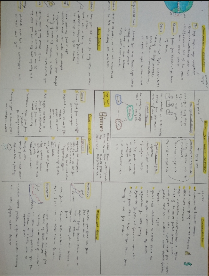 GeogHurlingham's tweet photo. Year 9 continue to produce excellent examples of their revision ahead of tomorrow's assessment. See examples from Danna, Mary and Tania. Good luck all of Year 9, on your Geography assessment tomorrow!
@TheHurlinghamAc
 #HomeLearning #studentwork #year9 #biomes #Revision https://t.co/rC0KHY8KU1
