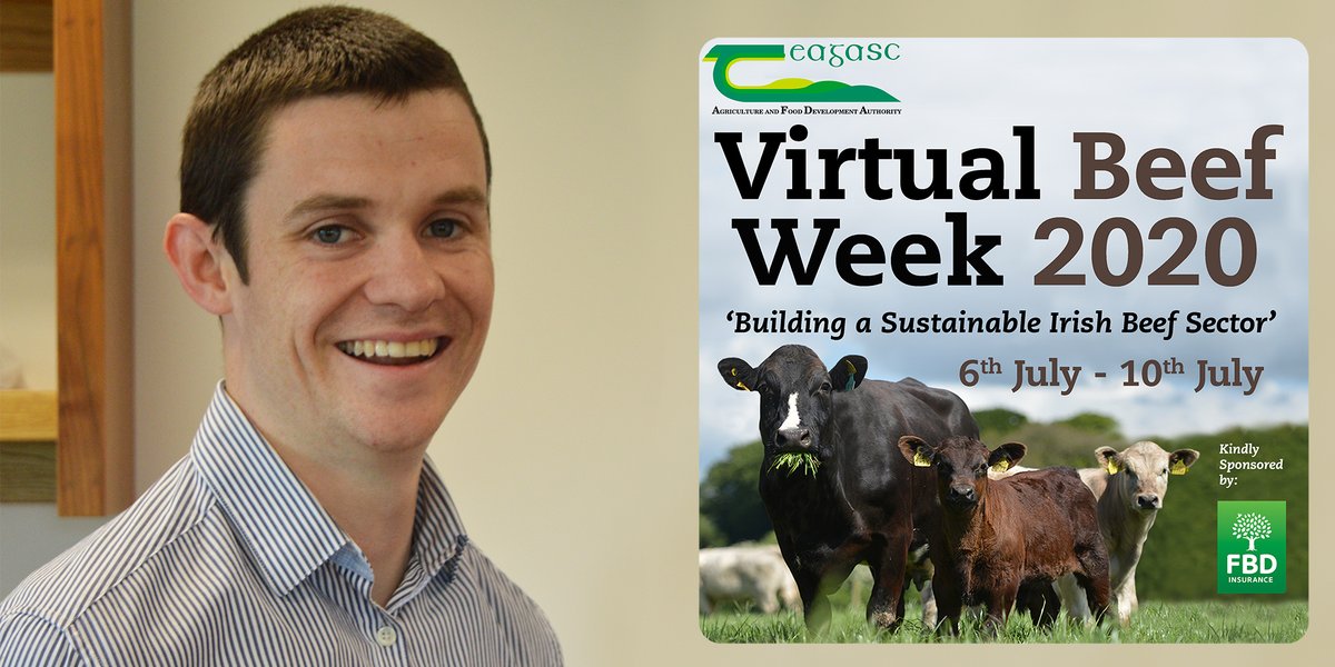 Tune into #BeefTalk on Monday, 6 July at 12pm and hear from Alan Twomey who will address what the differences are between selecting on the basis of the ICBF Replacement Index and/or Terminal Index. Find out more at teagasc.ie/virtualbeefweek #VirtualBeefWeek