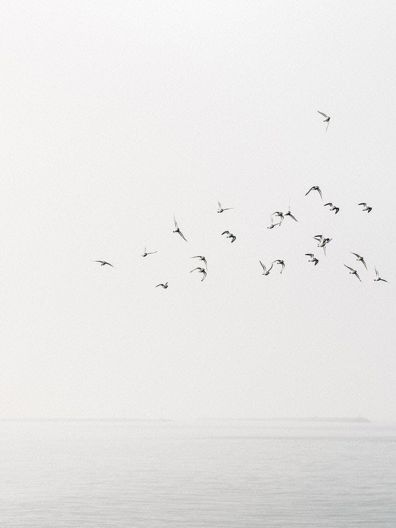 minimalism tweet media