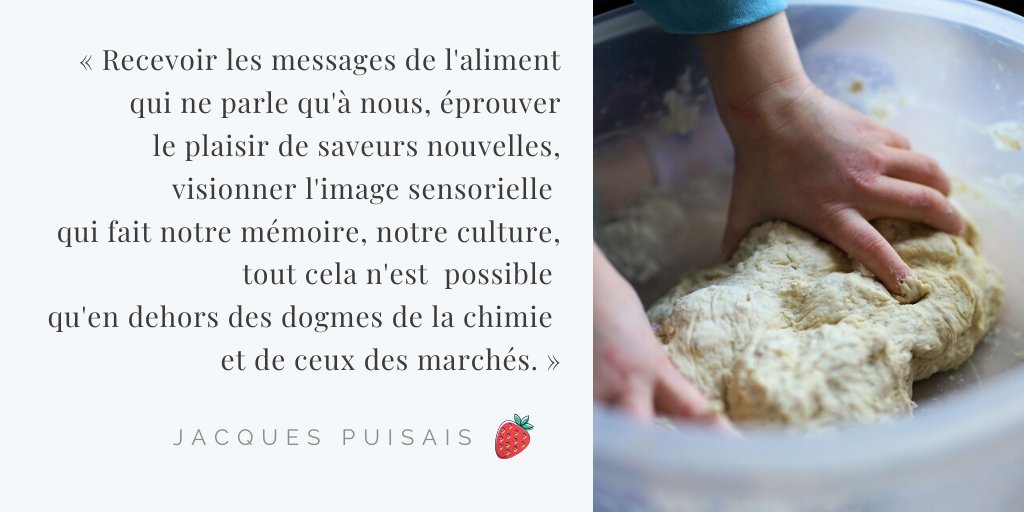 Le #goût, c'est une fabuleuse aventure sensorielle et émotionnelle, qui se redécouvre à chaque instant de notre vie, à tous les âges 👧👦

Et vous, quelles histoires vous racontent les #aliments ? 🍎

#Luticiole #Japprendsagouter #alimentation #manger