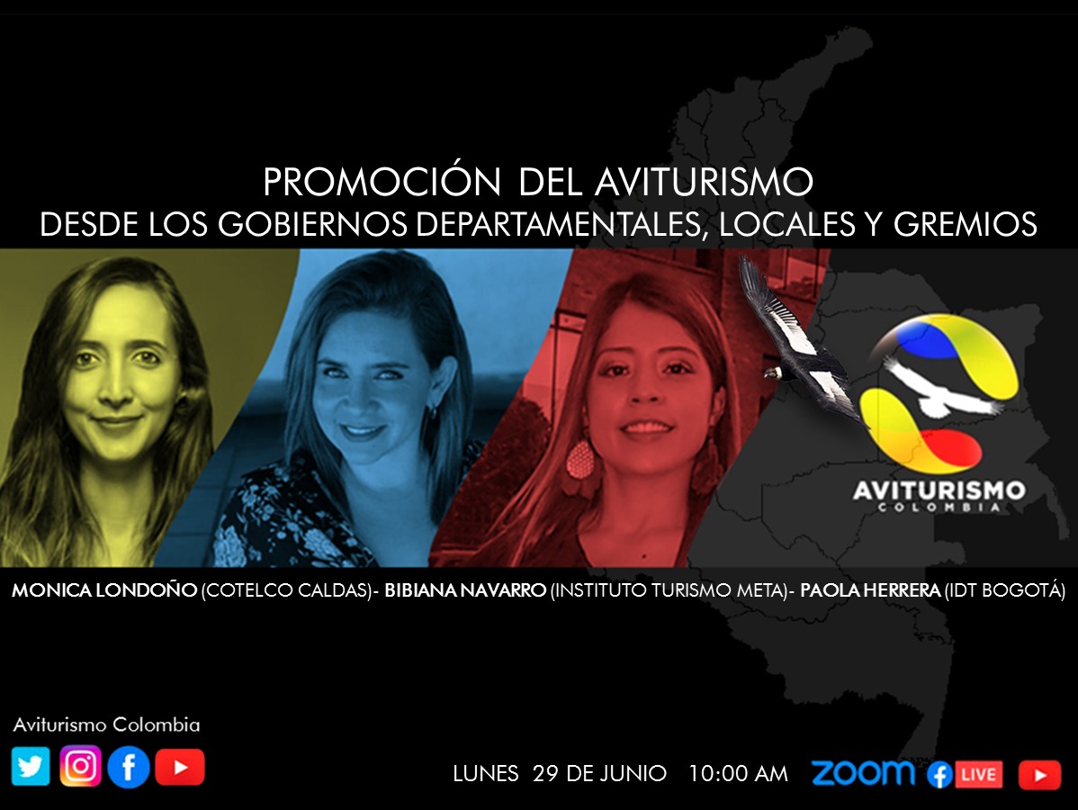 Conversemos sobre la Promoción del Aviturismo desde los Gobiernos Departamentales, Locales y los Gremios, con Mónica Londoño (Cotelco Caldas), Bibiana Navarro (ITM Meta), Paola Herrera (IDT Bogotá)
youtu.be/39d8wFSCAXM