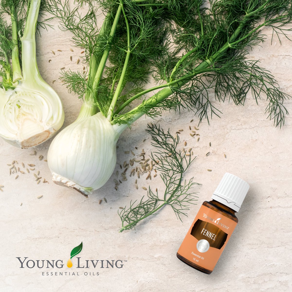 yleoeurope's tweet photo. Create your energising and balancing the environment with Fennel essential oil.

#YLTip: Combine Fennel oil with V-6 for a soothing abdominal massage after a big meal, or a stressful day.

https://t.co/NMKPhKPoQ9

#fennel #essentialoils #younglivingeurope https://t.co/Vcj8P8Y8gj