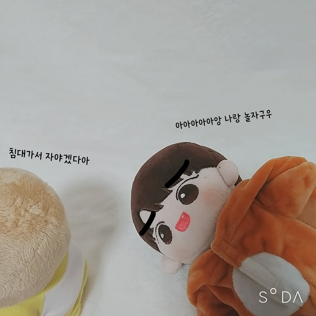 비오는 날은 축처진다는 국룰을 벌써 깨달은 #꿀빵우니 와 항상 텐션 높은 #베우비 💛💜
둘이 어떻게 이렇게 안맞을까요..?😅 #솜뭉치