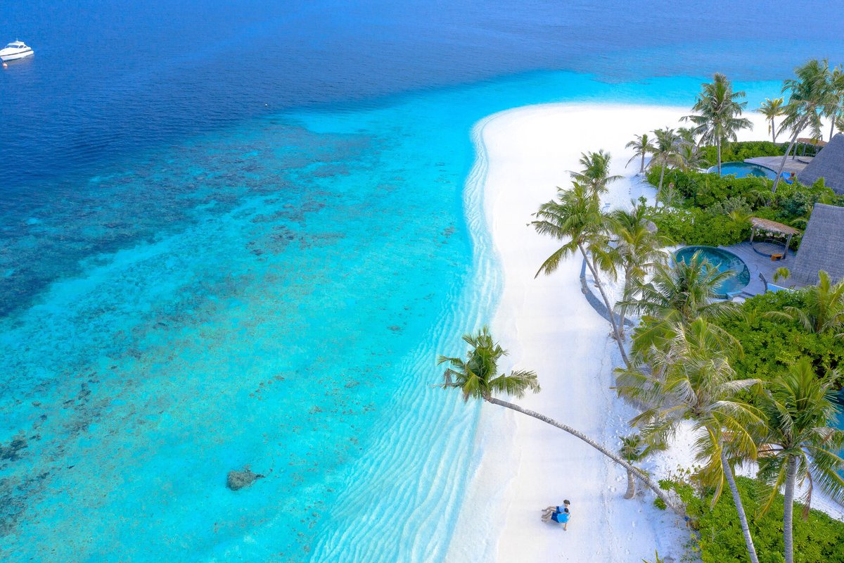 AssassiNFTWorld's tweet photo. #Maldives 🇲🇻 #travel #vacation #nature #phototravelz https://t.co/vRZhTVTAa9