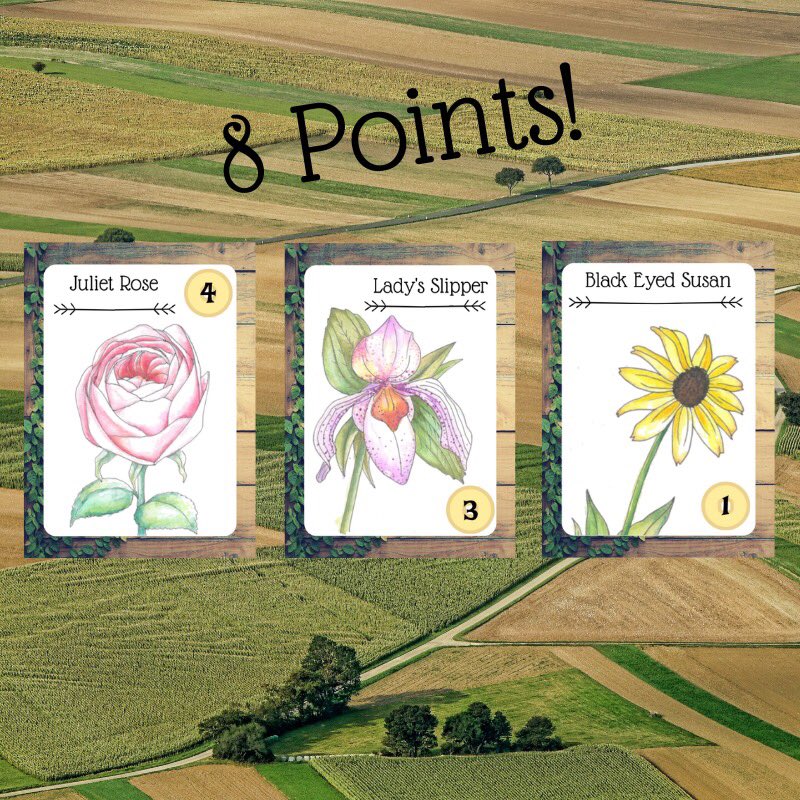 wolfbeardgames's tweet photo. Plant your garden and harvest rows for points!
#righttofarmgame #cardgames #tabletopgames #kickstarter #comingsoon #wolfbeardgames https://t.co/SsXQjdNqRM