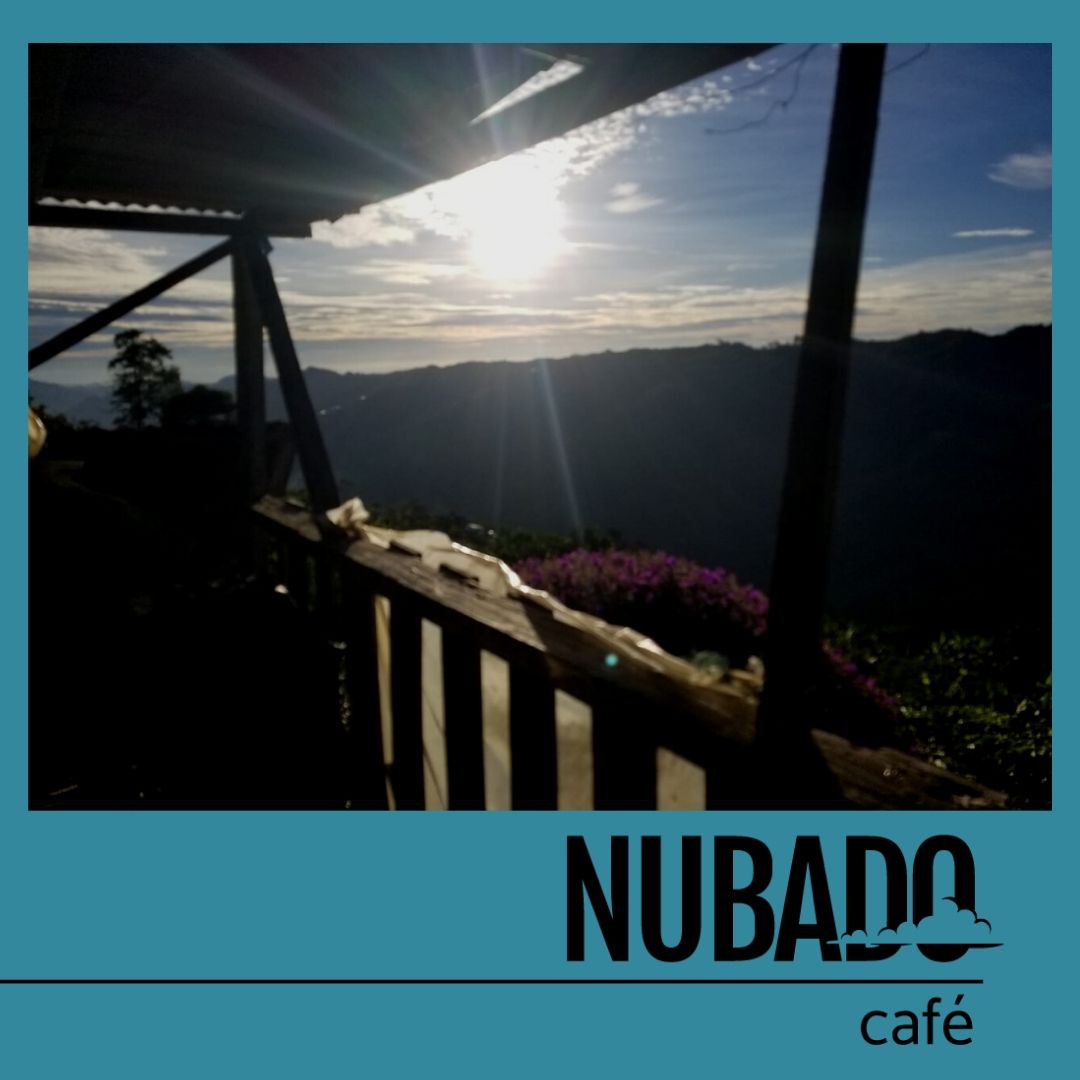 CafeNubado's tweet photo. Dejate sorprender por cada mometo que la vida te ofrece y orquesta  tus mañanas con una buena taza de Café
☕
☕

#satyhome #caféencasa #cafetime #cafetour #culturacafetera #cafetales #colombiancoffee #paisajeculturalcafetero   #cafenubado #fincalapastorita #nubado https://t.co/f91X9Ae4KA