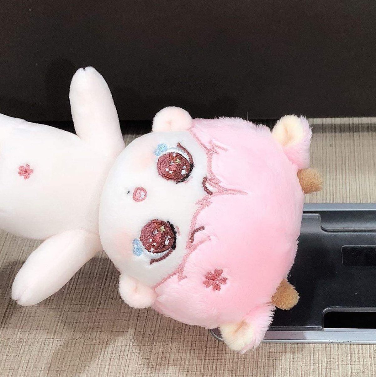 Cherry Blossom Kook tweet media