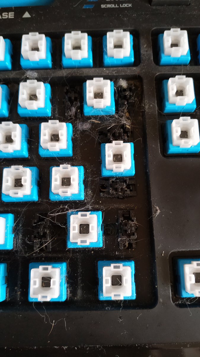 Zensmann's tweet photo. Today is international #CleanYourKeyboard day. A day I definitely did NOT make up this morning!
Show your hardware some love and let it shine again! I took apart my @LogitechG 910 and it is ready to go again.
Share this tweet and tag someone, who needs to clean their keyboard! https://t.co/aok5j4mLRd