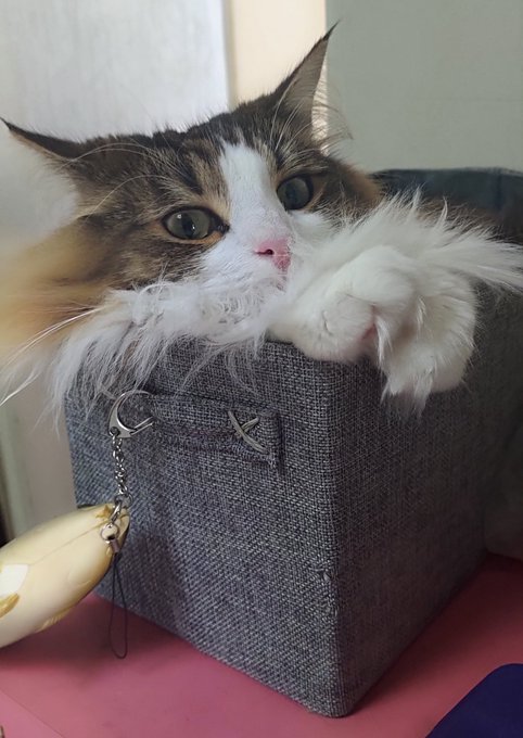 Twitterのコスプレ画像1