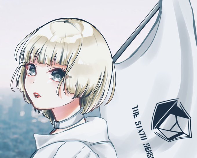 第六感のtwitterイラスト検索結果