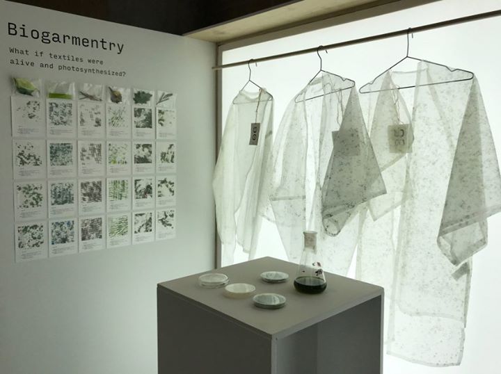 PromostylParis's tweet photo. Canadian-Iranian designer Roya Aghighi has created clothes made from algae that turn carbon dioxide into oxygen via photosynthesis, as a more sustainable alternative to fast fashion. Click to see the project: https://t.co/N3Xdqj4TTv
#Promostyl #Textile #biogarmentry #royaaghighi https://t.co/2fbb5ANJME