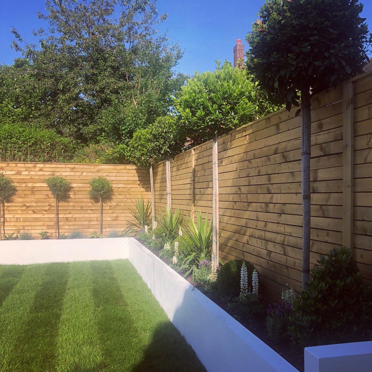 Check out this lovely Venetian fence we installed that wraps around this garden 👌🏼 What a transformation and an awesome backdrop for planting 🌳 #tattonfencing #cheshire #fence #venetian #fencedesign #garden #summer #gardendesign #fencebuilding