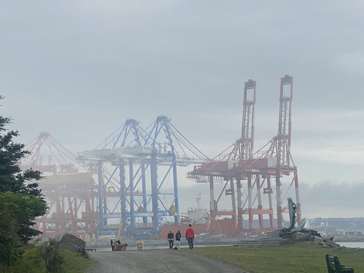DrCChambers's tweet photo. #BigCranes #Halifax @PPPYHZ https://t.co/cMRhYgAv0X