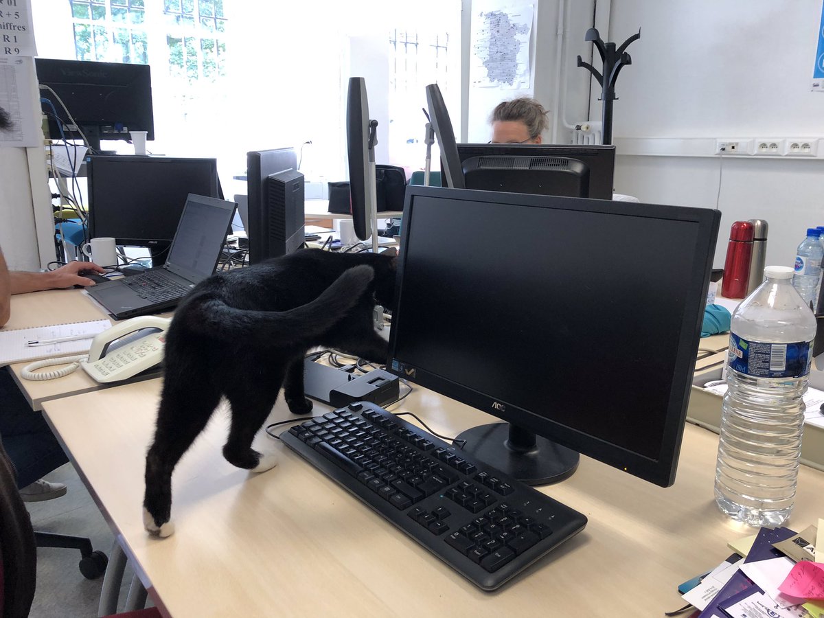 AniellaLEBEAU's tweet photo. Une nouvelle recrue à la @dane_nancy_metz !
Il n'est pas masqué 😷 mais il se forme déjà aux #egpéda de @reseau_canope ! Un #escapegame pour le déloger !
#zen
#cat
#chat
#chatzen
#picassiette
#catoftheday
#invitésurprise
#portesouvertes https://t.co/oOdVbYoMnd