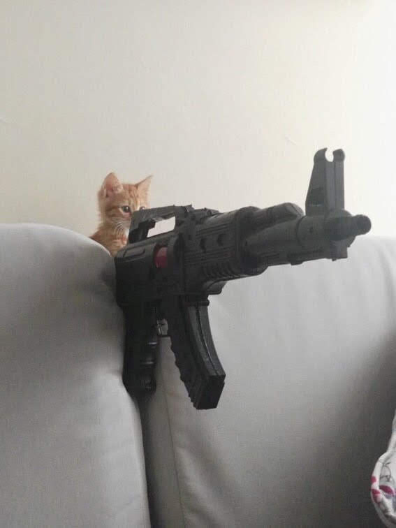 CovidHumour's tweet photo. @Wakko1966 @godmoringmm @ABC I think what Tamil is saying is that guns make it easier to actually shoot people. You know, seriously injure people or kill them. But I guess that's okay with you. https://t.co/Rg3ZpHxCbZ