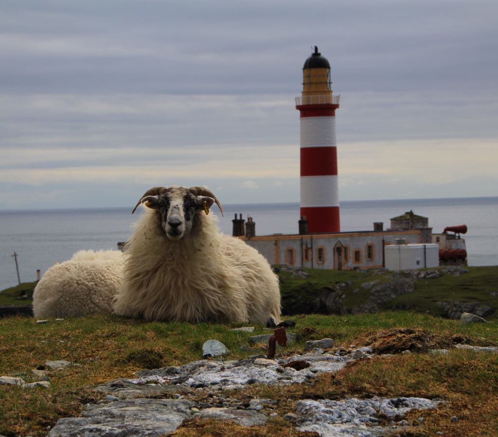kilted_guide's tweet photo. Eilain Glas lighthouse n #scalpay in the #OuterHebrides #hebrides. #STGAGuides #bluebadgetouristguide #qualifiedtouristguide #professionaltourguide #scotlandfromtheroadside #scotlandtravelguide https://t.co/dqVpsbkgEO