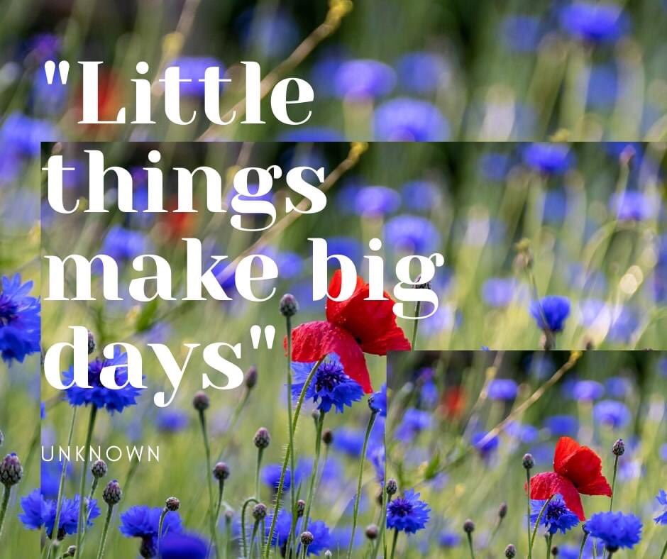 ErinaMedia's tweet photo. Wishing you a great day and week ahead. 

Don't click the link 🤣 
I know you will... 
https://t.co/w6gNiqJeN5

#madeonfiverr #ErinaSmm #ErinaSocialMediaManager #backin #Social #follow #Insta #IG #management #platforms #flower #flowers #summertime #summervibes https://t.co/iXhreh4MNl