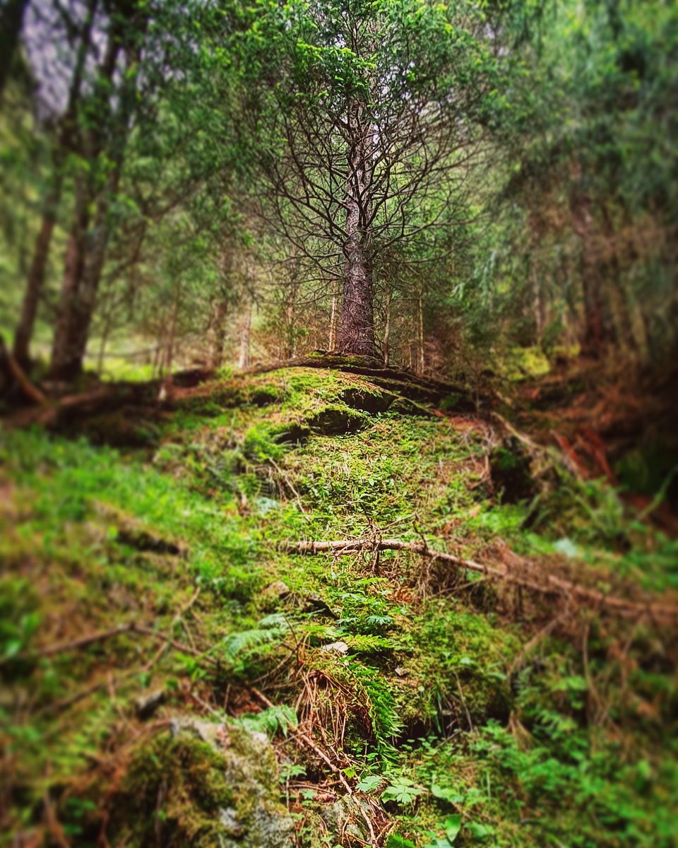 #werweissschonwasdahintenkommt