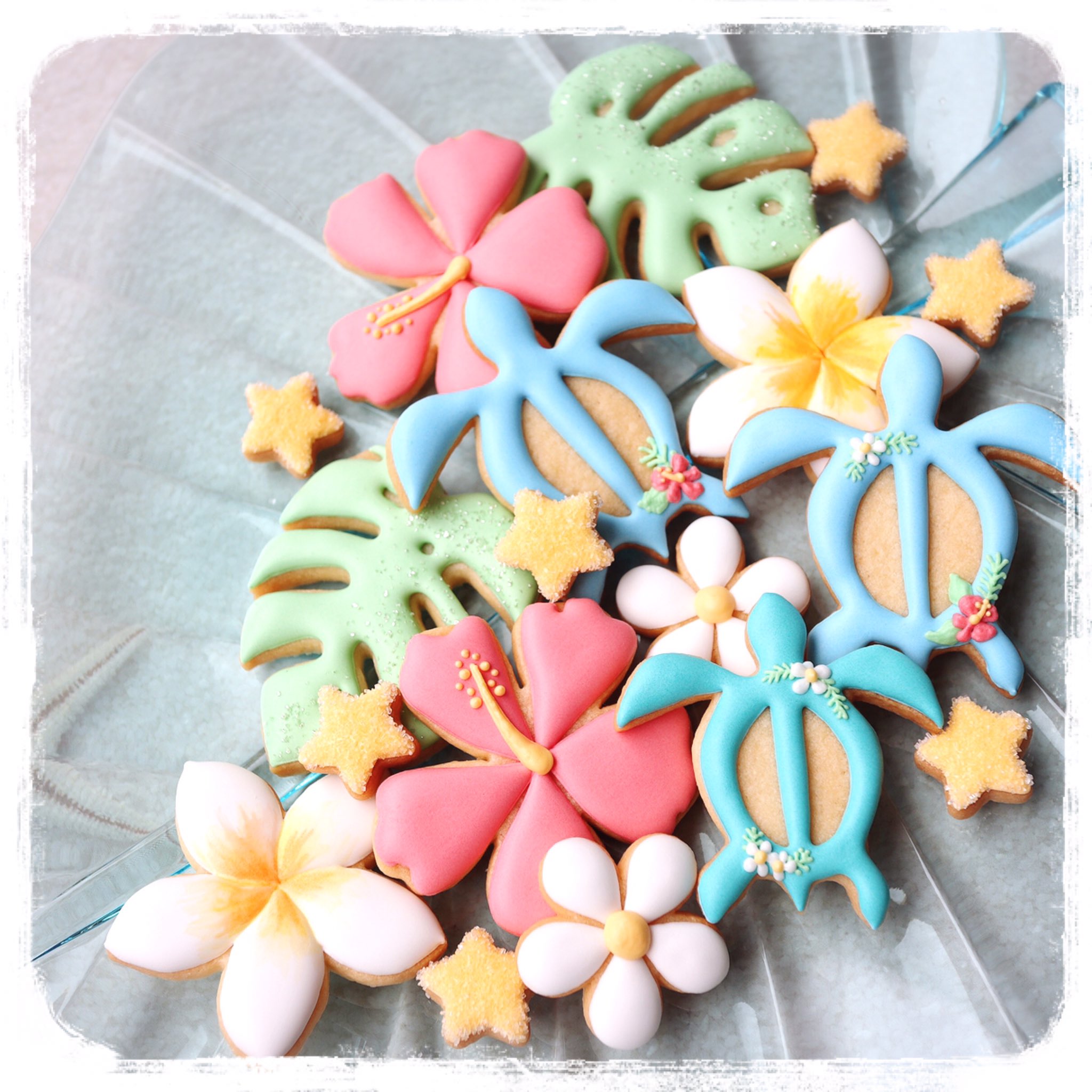 Twitter 上的 Mokomoko Cookies Hawaiiなクッキー ハワイ ๑ W ๑ 行ったこともないのですが ハワイってこんなイメージかなぁって感じで作ってみました ハイビスカス モンステラ プルメリア なんだったかな カメさん は クッキー型から作った
