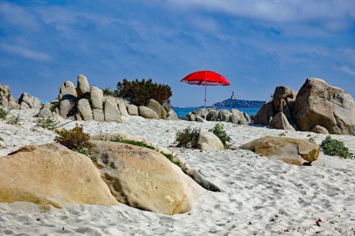 itipsnl's tweet image. #getest 
De beste parasols en de beste parasol voeten.
testresults.nl/p/beste-paraso…

#parasol #zon