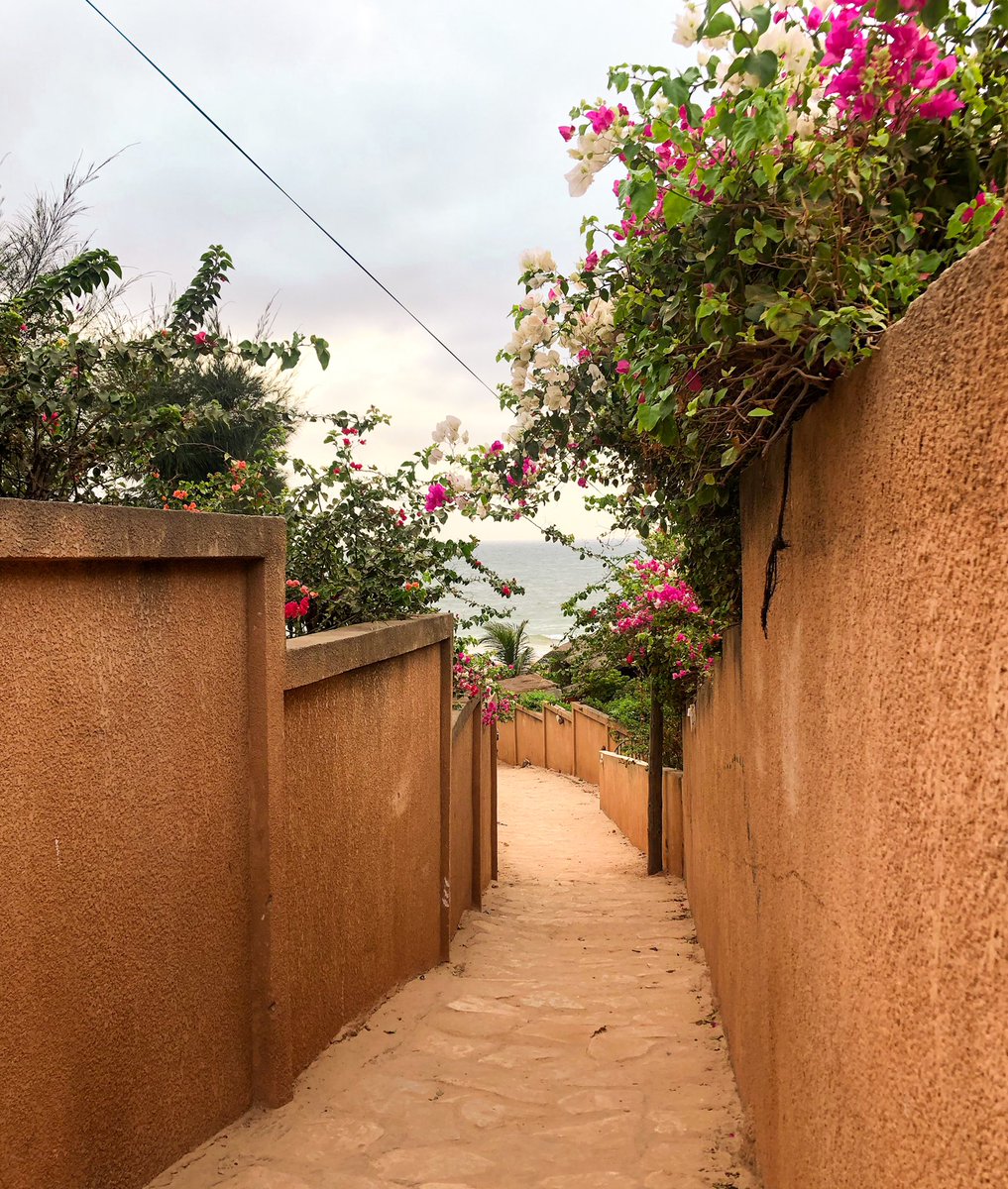 laminepro's tweet photo. #XamSenegal Vous est il déjà arrivé de voir un lieu, de l’aimer et de vous dire que vous allez le découvrir. C’est exactement ce qui m’est arrivé avec cette petite ruelle sise à Toubab Dialaw. Rien d’exceptionnel peut-être mais elle a du charme avec ses bougainvilliers. https://t.co/MLQlS7dJ15