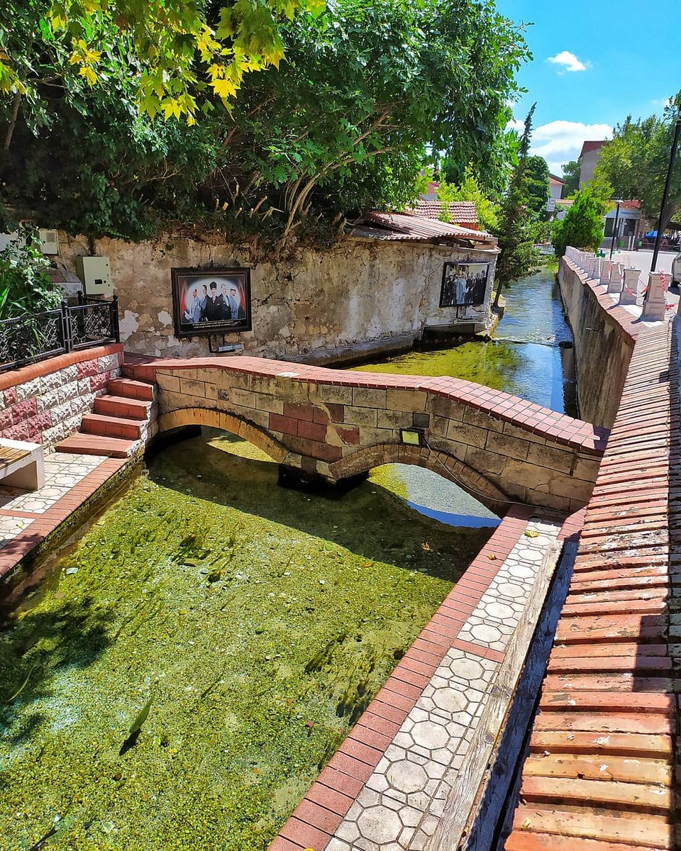 instrakyam tweet media