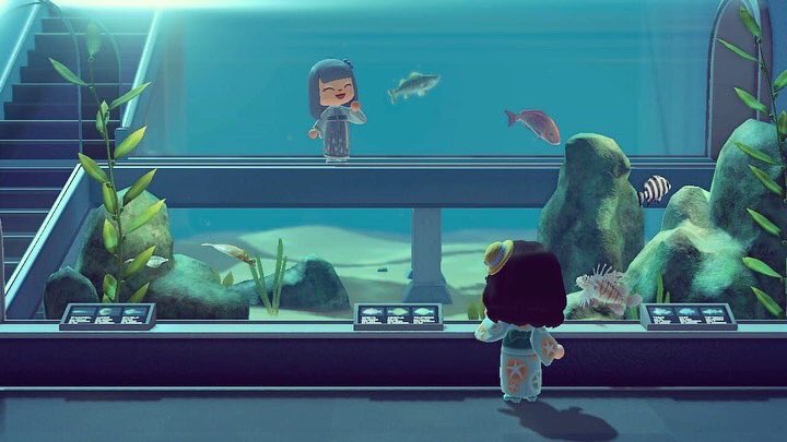 Celimira1's tweet photo. Yesterday I visit our older sister @Shira2881 on her island and she was proud to share her Museum progress 😊 I love it, that there is a game we 3 can play together 🥰
-Sammy
#acnh #animalcrossingnewhorizons #animalcrossing #acnhislands #animalcrossingisland #acnhinspo https://t.co/yB6tiyQA8U