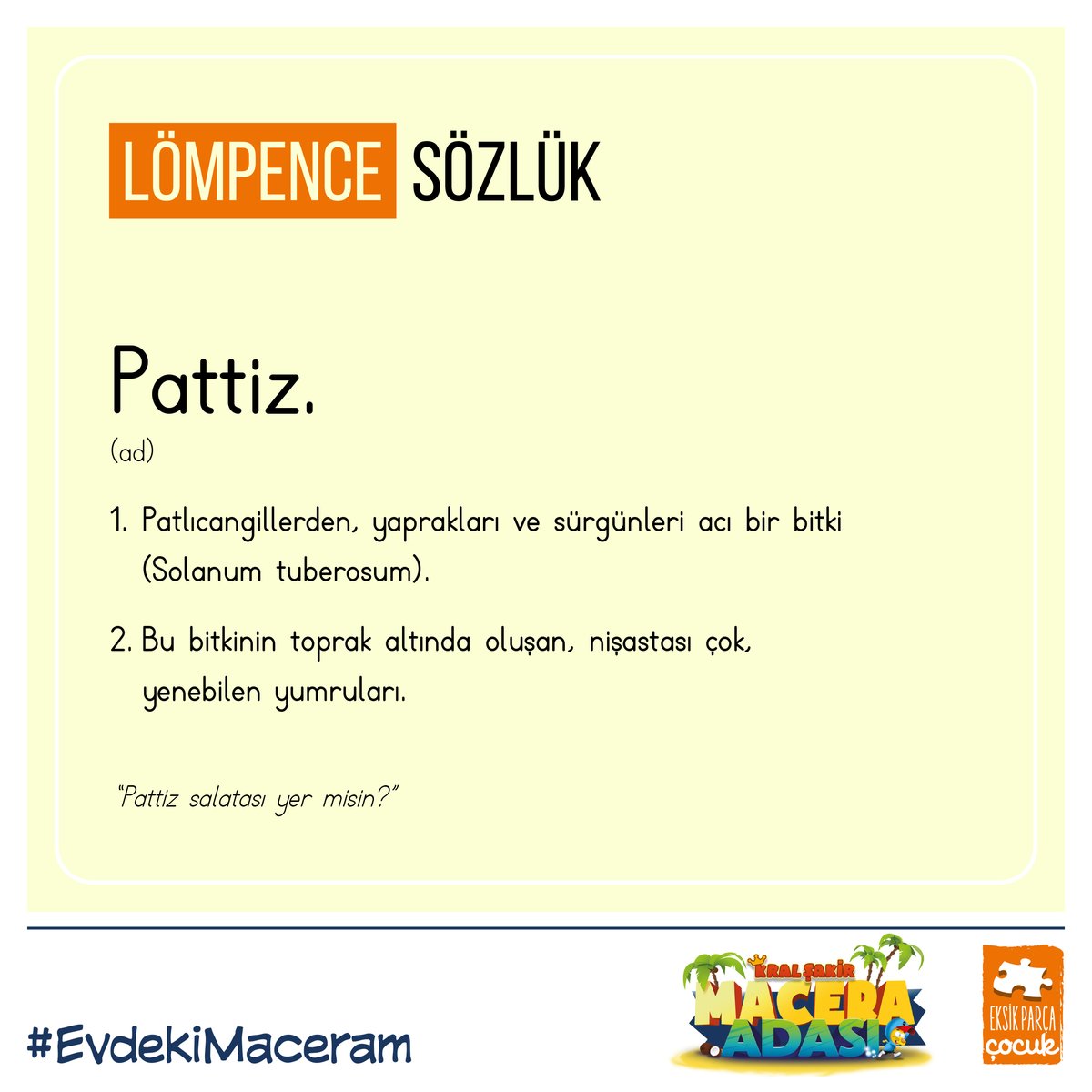 dogum yeri su andan itibaren patronise patlicangillerden bir bitki bulmaca bilsanatolye com