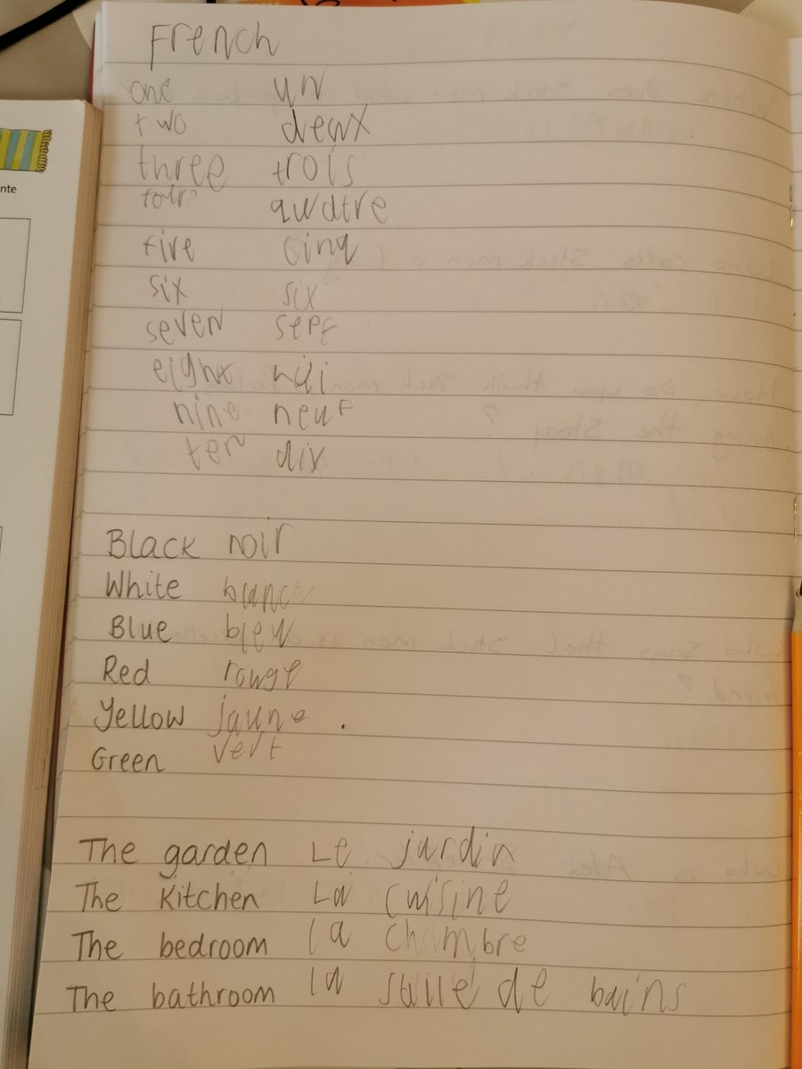 Squirrel Freddie has been working hard to learn some French this morning 🌟