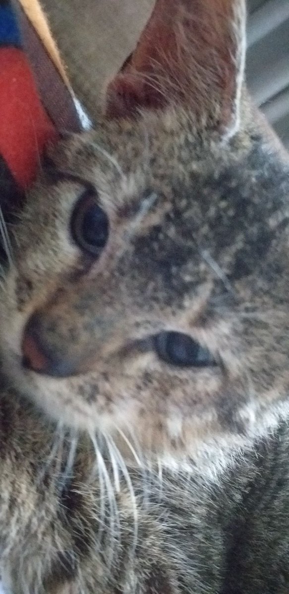 Blocknotes1's tweet image. Bom mais um dia